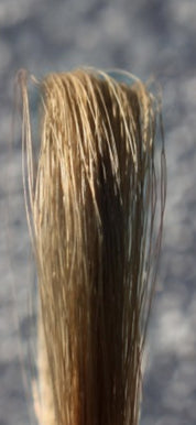 Miscela tintoria Biscotto/Nocciola