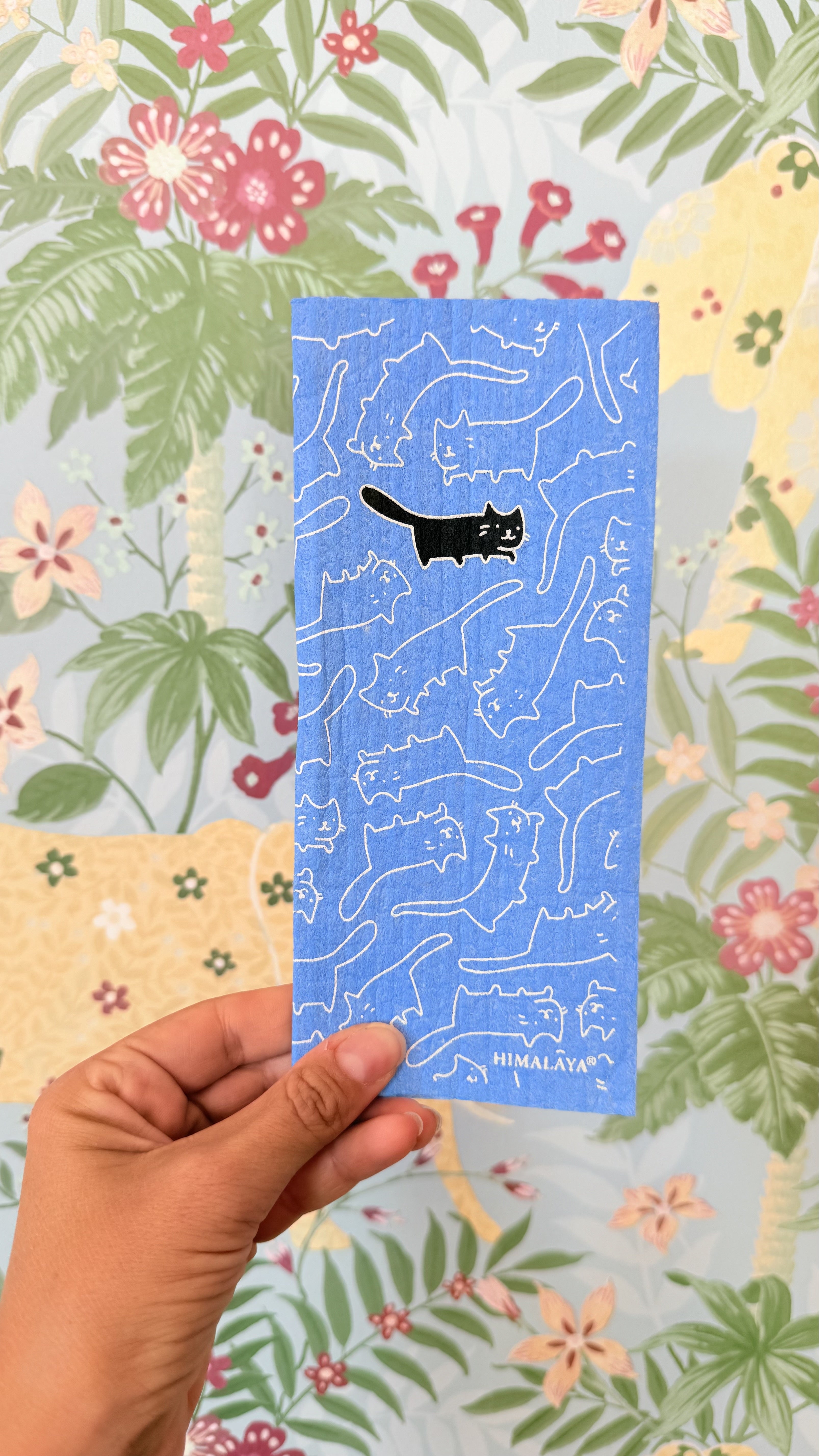 Spugnette divertenti