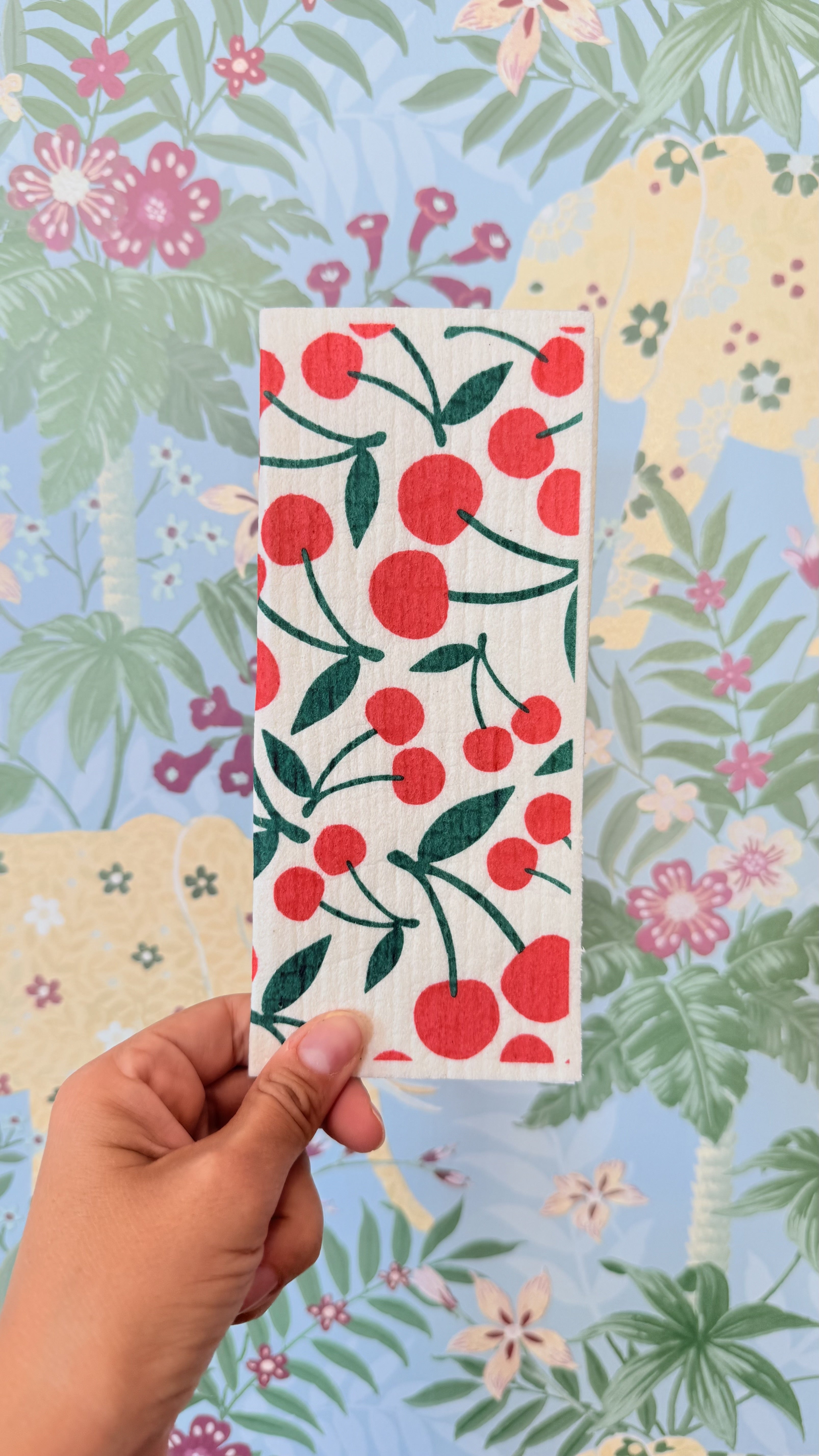 Spugnette divertenti