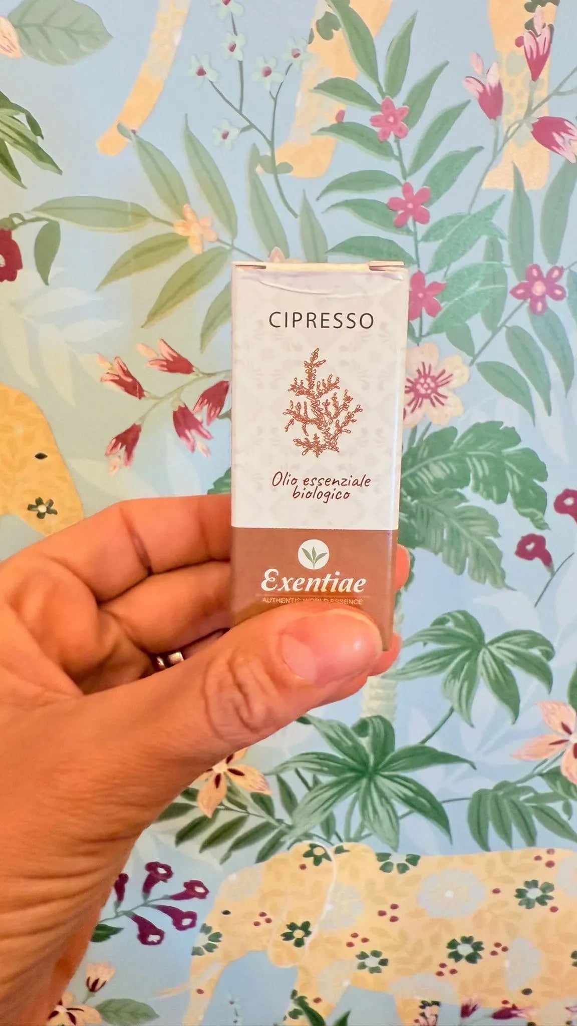 Cipresso Olio Essenziale