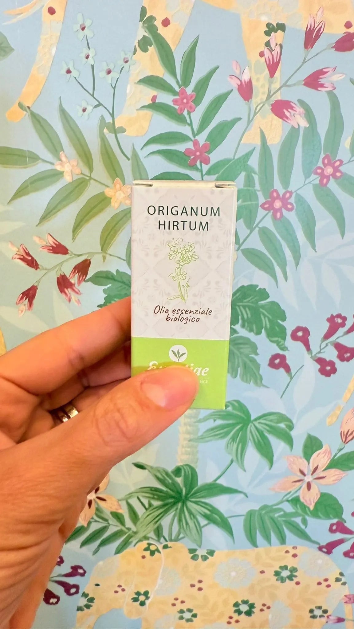 Origanum Hirtum Olio Essenziale