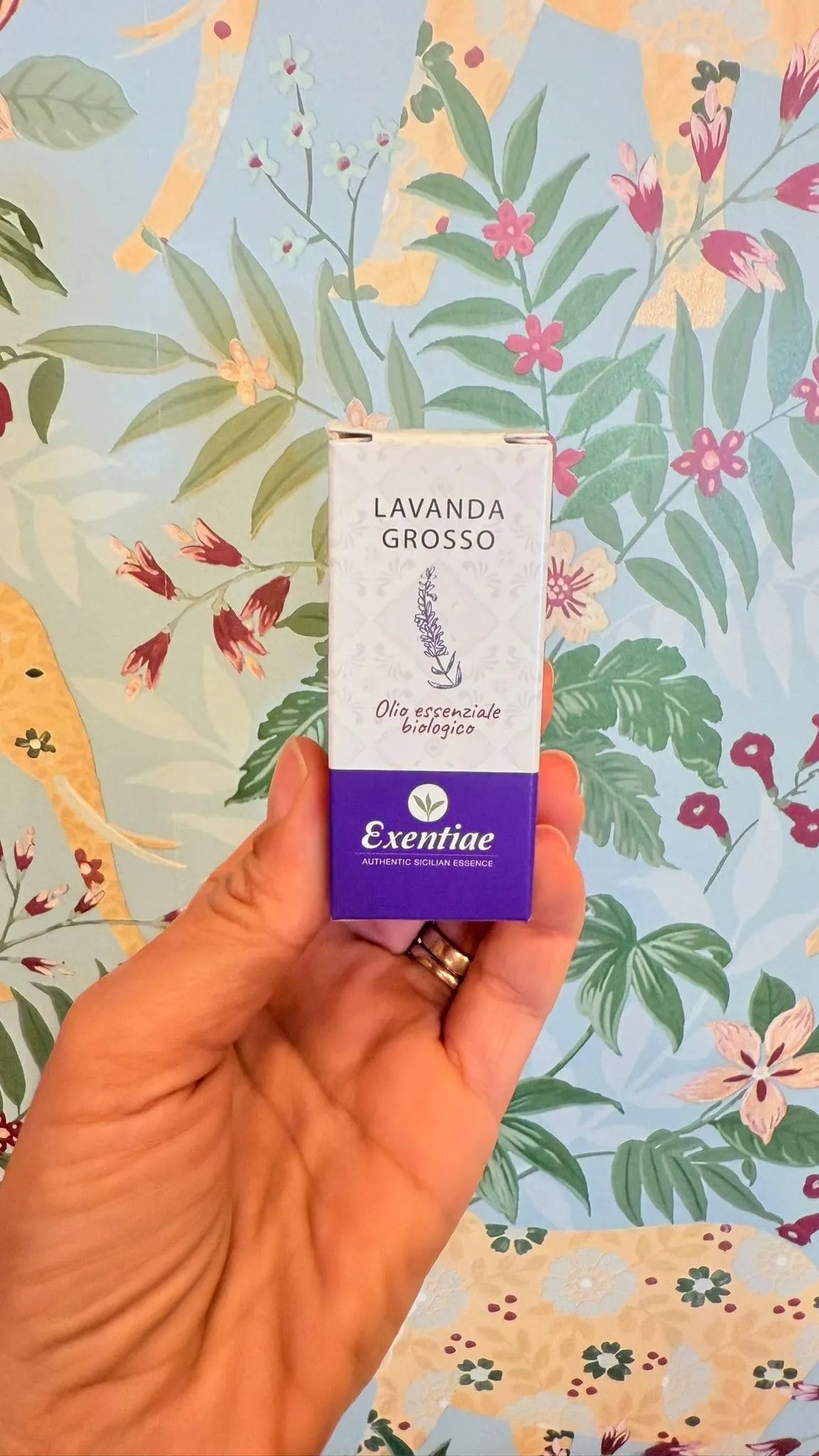 Lavanda Grosso Olio Essenziale