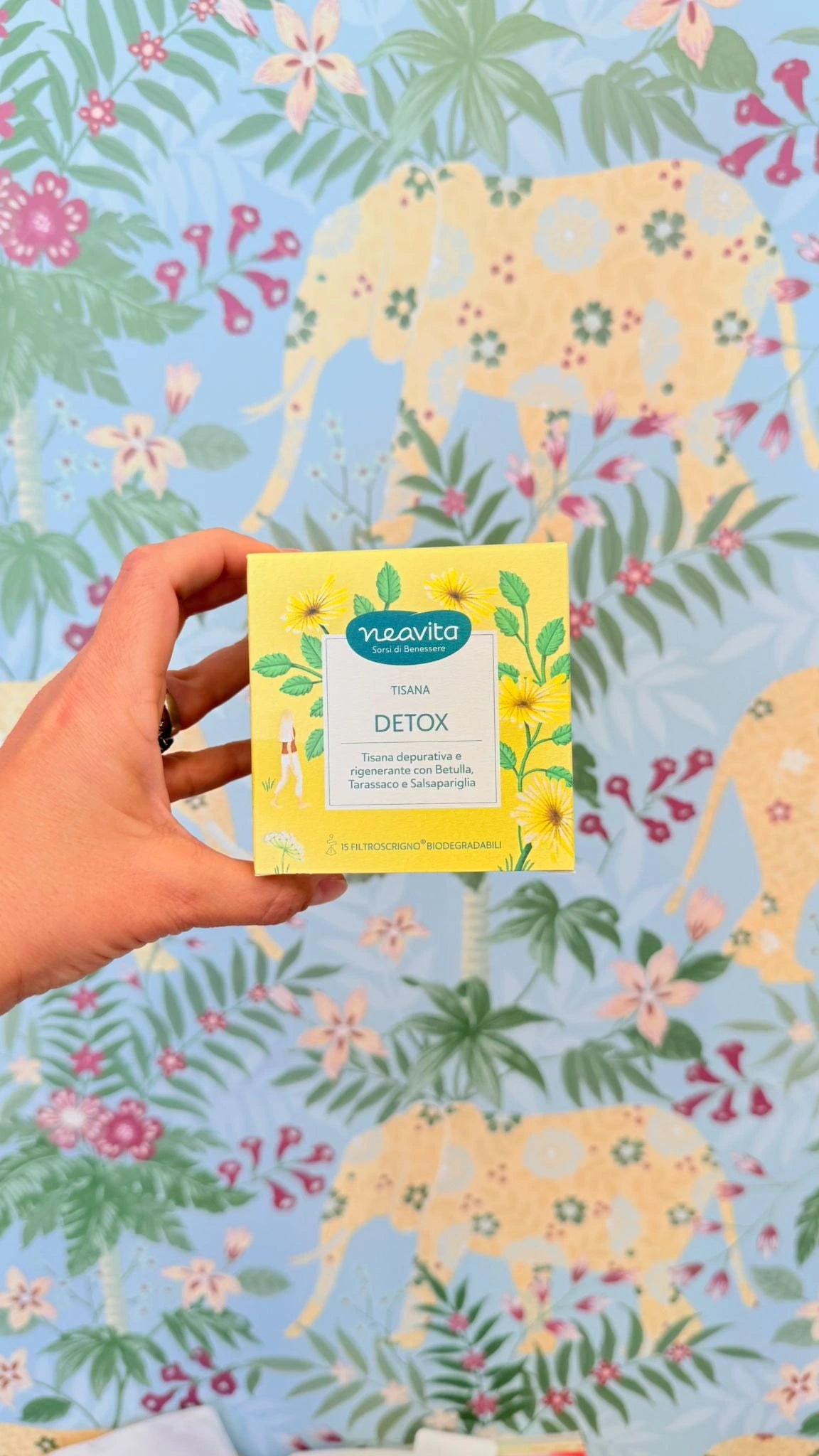 Tisana Detox Depurativa - Con Betulla, Tarassaco e Salsapariglia.